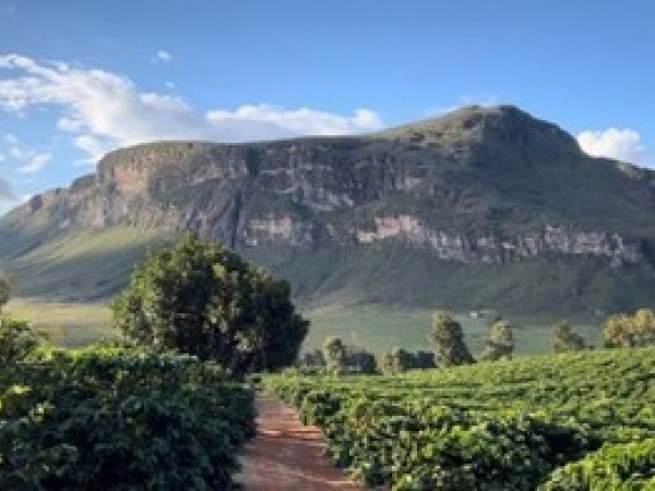 .:: chapada_diamantina_66004_1_pt_042408.jpg ::.