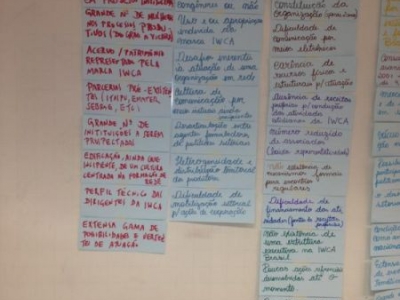 .:: foto_12231_35854.jpg ::.